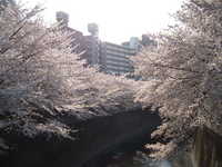  dscf0480.jpg 