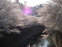  dscf0481.jpg 
