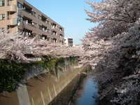  dscf0482.jpg 