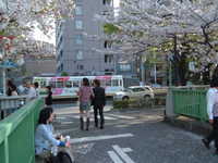  dscf0483.jpg 