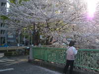  dscf0484.jpg 