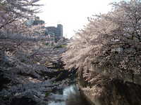 dscf0485.jpg 