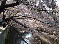  dscf0486.jpg 