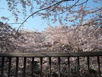  dscf0487.jpg 