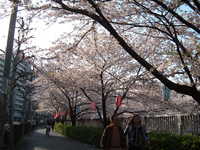  dscf0488.jpg 