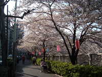  dscf0490.jpg 