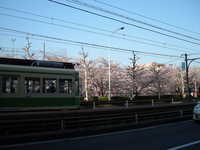  dscf0491.jpg 