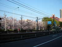  dscf0492.jpg 