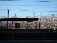  dscf0494.jpg 
