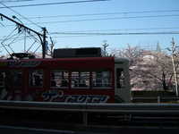  dscf0495.jpg 