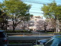  dscf0497.jpg 
