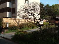  dscf0502.jpg 