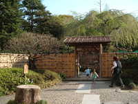  dscf0505.jpg 