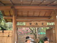  dscf0506.jpg 