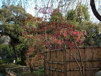  dscf0508.jpg 