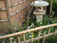  dscf0509.jpg 