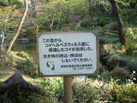  dscf0510.jpg 
