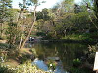  dscf0511.jpg 