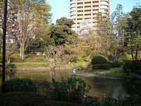  dscf0513.jpg 