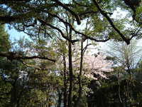  dscf0514.jpg 