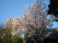  dscf0516.jpg 
