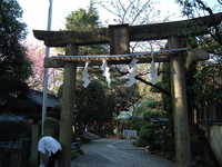  dscf0518.jpg 