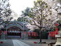  dscf0520.jpg 