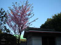  dscf0521.jpg 