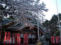  dscf0523.jpg 