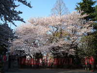  dscf0524.jpg 