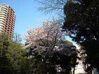  dscf0529.jpg 