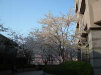  dscf0534.jpg 