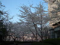  dscf0535.jpg 