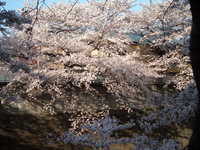  dscf0536.jpg 