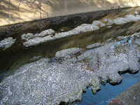 dscf0539.jpg 