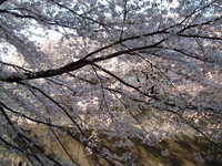  dscf0540.jpg 