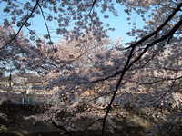  dscf0541.jpg 