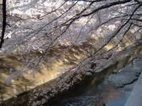  dscf0542.jpg 