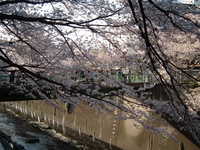  dscf0543.jpg 