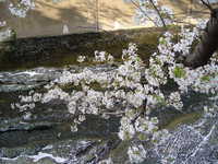  dscf0544.jpg 