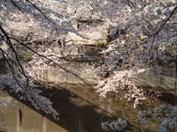  dscf0545.jpg 