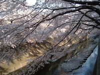 dscf0546.jpg 