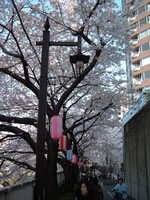  dscf0547p.jpg 