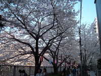  dscf0548.jpg 