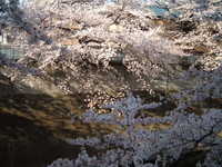  dscf0549.jpg 