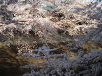 dscf0551.jpg 