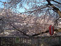  dscf0552.jpg 