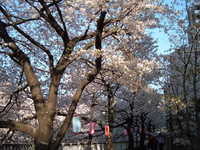  dscf0553.jpg 