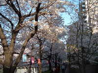  dscf0554.jpg 