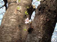  dscf0555.jpg 
